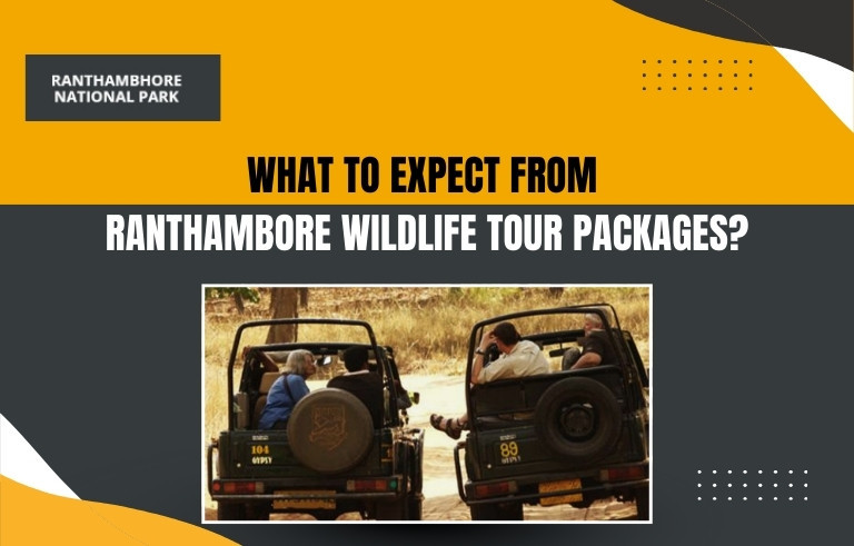 What-to-Expect-from--Ranthambore-Wildlife-Tour-Package_20250915-130900_1