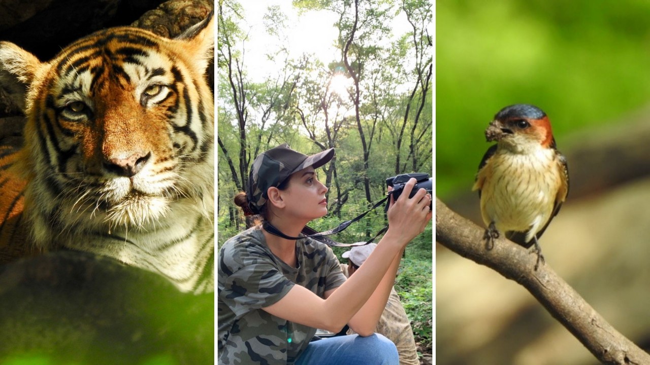 Dia-Mirza-in-Ranthambhore-National-Park