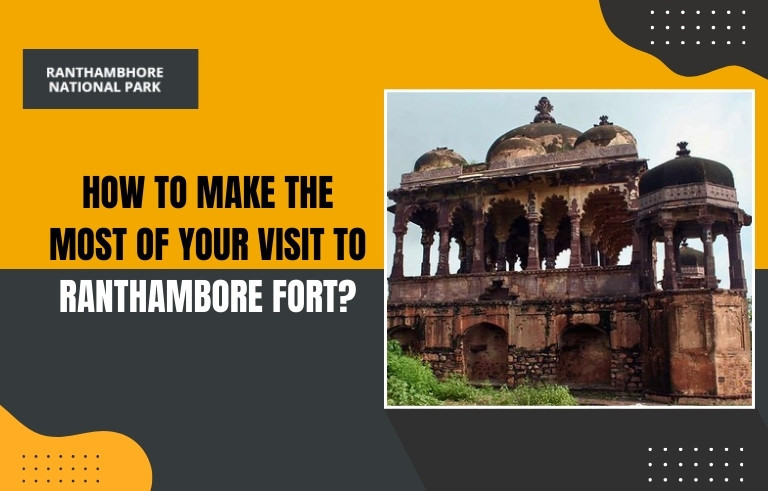How-to-Make-the-Most-of-Your-Visit-to-Ranthambore-For_20250915-133759_1
