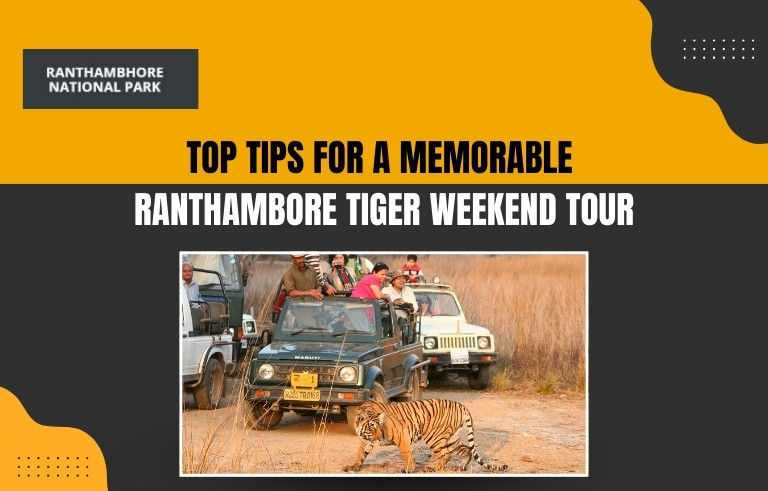 Top-Tips-for-a-Memorable--Ranthambore-Tiger-Weekend-Tou_20250916-133247_1
