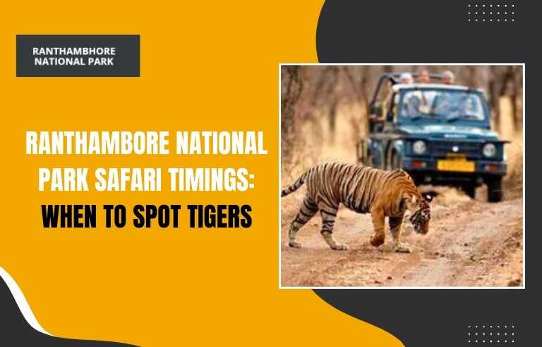 Ranthambore-National-Park-Safari-Timings-When-to-Spot-Tiger_20250918-060622_1