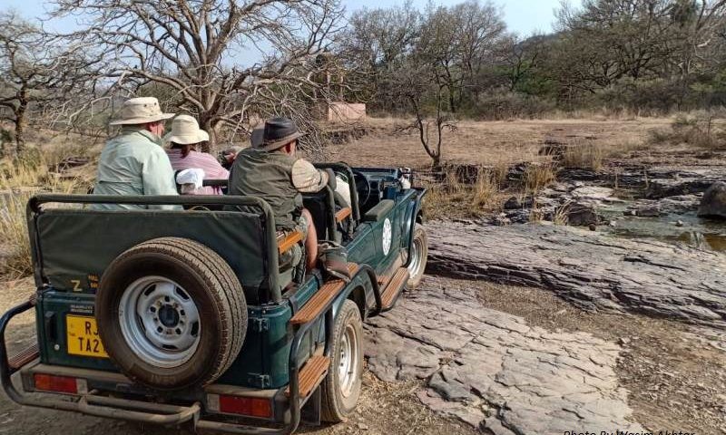 Jeep-Safari-Ranthambore-by-wasim