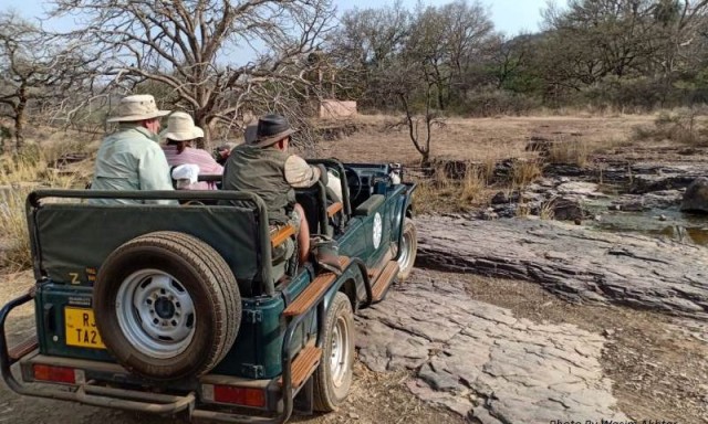 Full-Day and Half-Day Safaris have been Banned in Zones 1 to 5 of Ranthambore