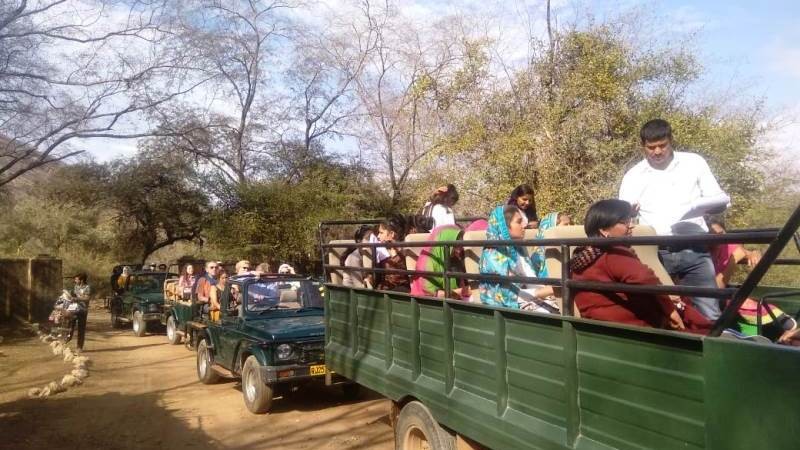 Ranthambore-safari-rates