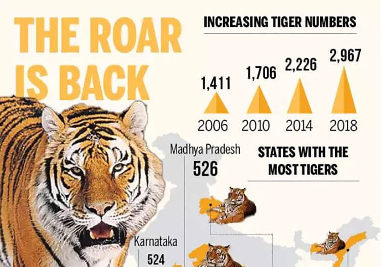 Number of tigers in India 