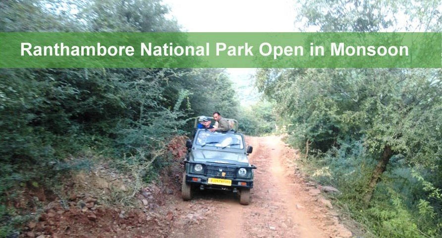 Ranthambore-open-in-monsoon