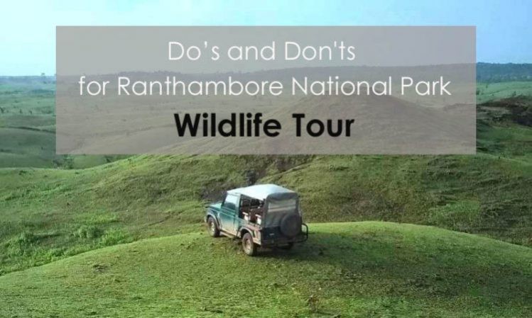 Dos-and-Donts-for-Ranthambore-National-Park-wildlife-tours-e1538112294723