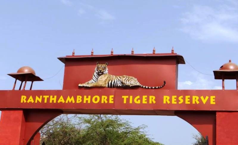 Ranthambore-online-safari-booking