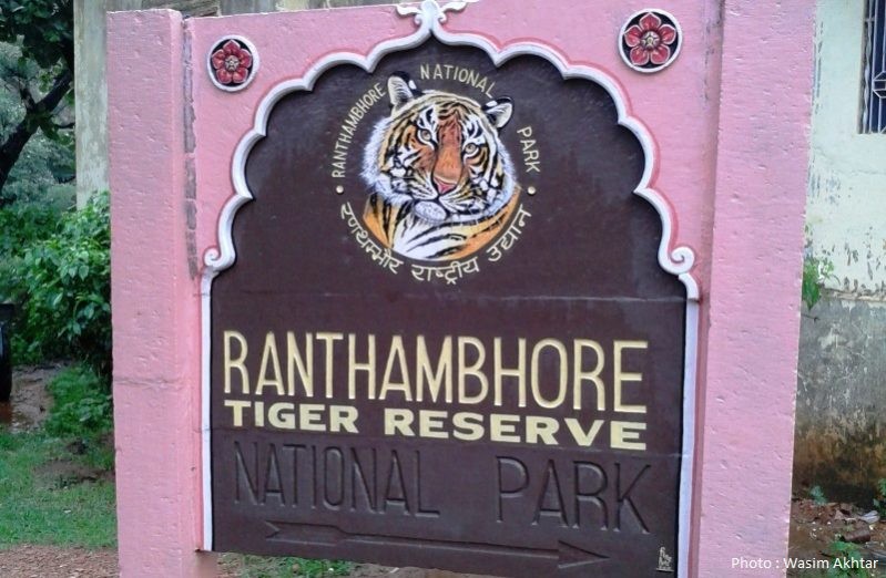 Ranthambore tiger reserve india 