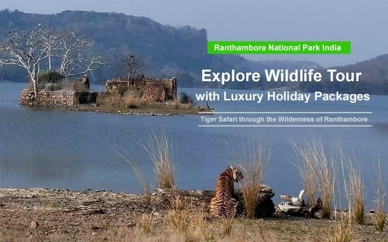 Ranthambore-Luxury-Holiday-wildlife-packages