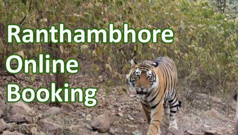 Ranthambore-online-Booking