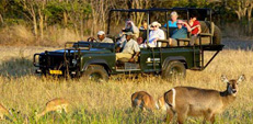 Ranthambhore Jungle Safari