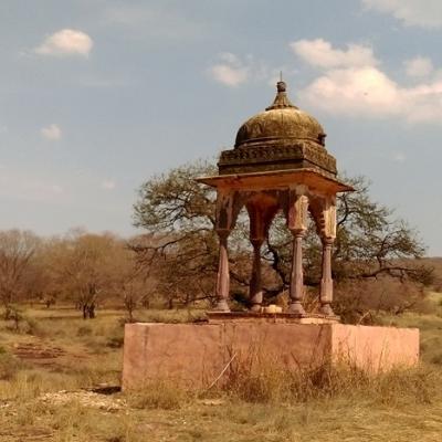 Jaipur to Ranthambore Tour Package
