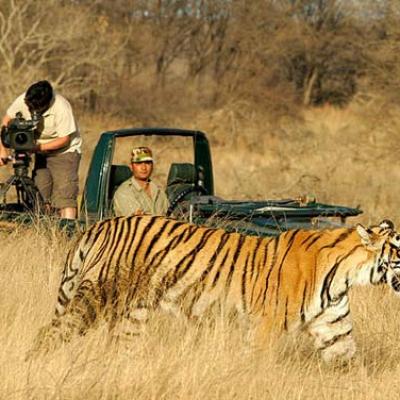 Ranthambore Odyssey Tour