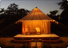 Ranthambore Weekend Trip